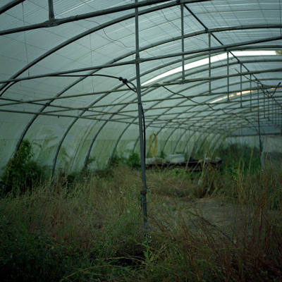 21_Ireland_Polytunnel.jpg
