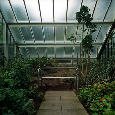 16_Garden_EndofRoad.jpg