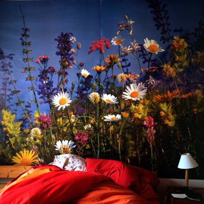 18_amrum_blumenbett.jpg