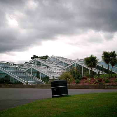 30_Garden_Palms.jpg