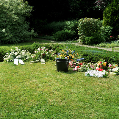 11_Hamburg_Dead_Flowers.jpg