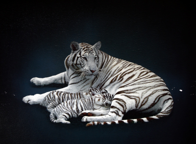 White_Tiger_with_Kids.jpg