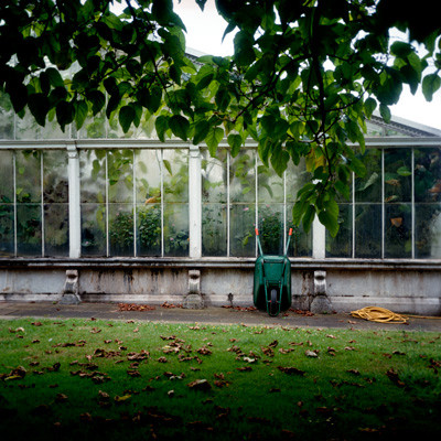 30_Garden_Leaves.jpg