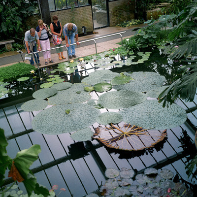34_Garden_Mirror.jpg