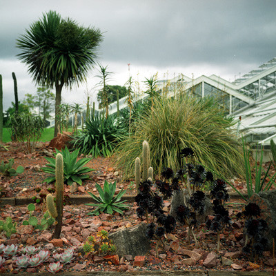 34_Garden_Cactusgarten.jpg