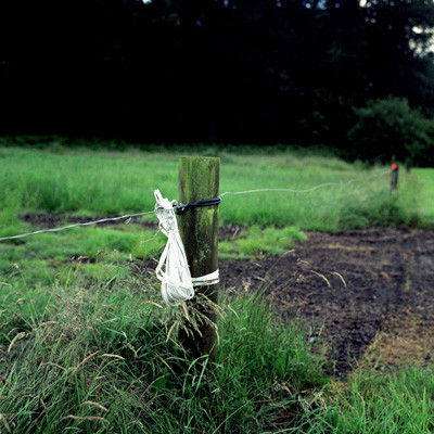 32_Irland_ElectricFence.jpg